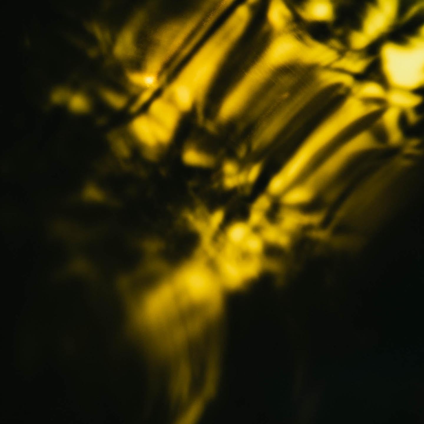 Guide Complet : Tous les Types et Qualités d'Huile d'Olive Expliqués